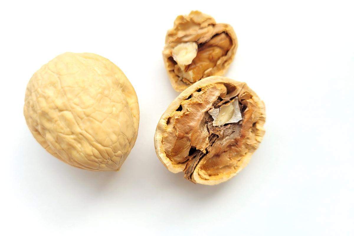 Orzechy włoskie, jeden cały i dwie połówki na jasnym tle, minimalistyczna fotografia