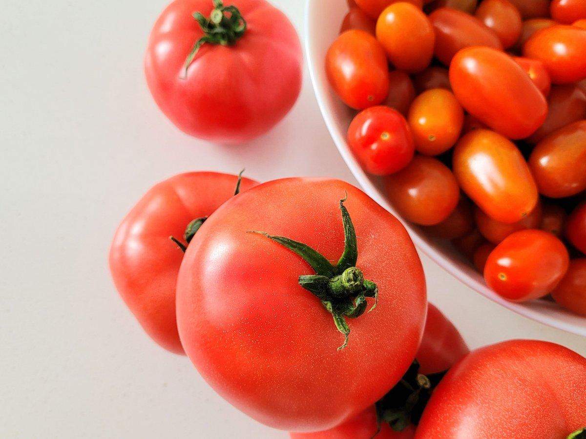 Świeże, dojrzałe pomidory i pomidorki koktajlowe na jasnym tle, symbolizujące zdrowe i naturalne odżywianie