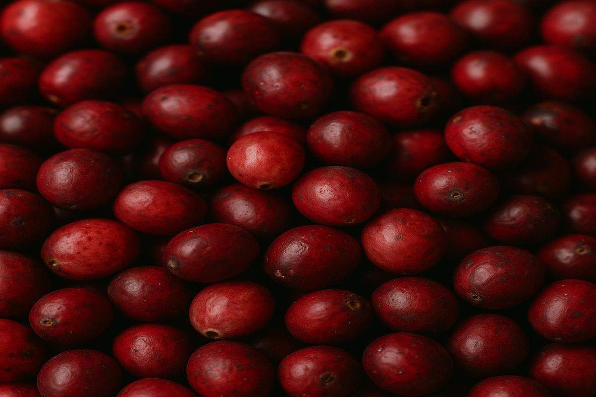 Zdjęcie porcji świeżej żurawiny na całym tle